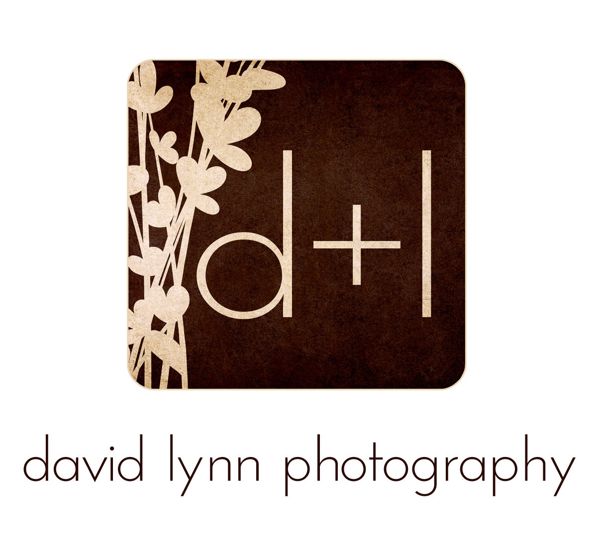 David Lynn Photography logo